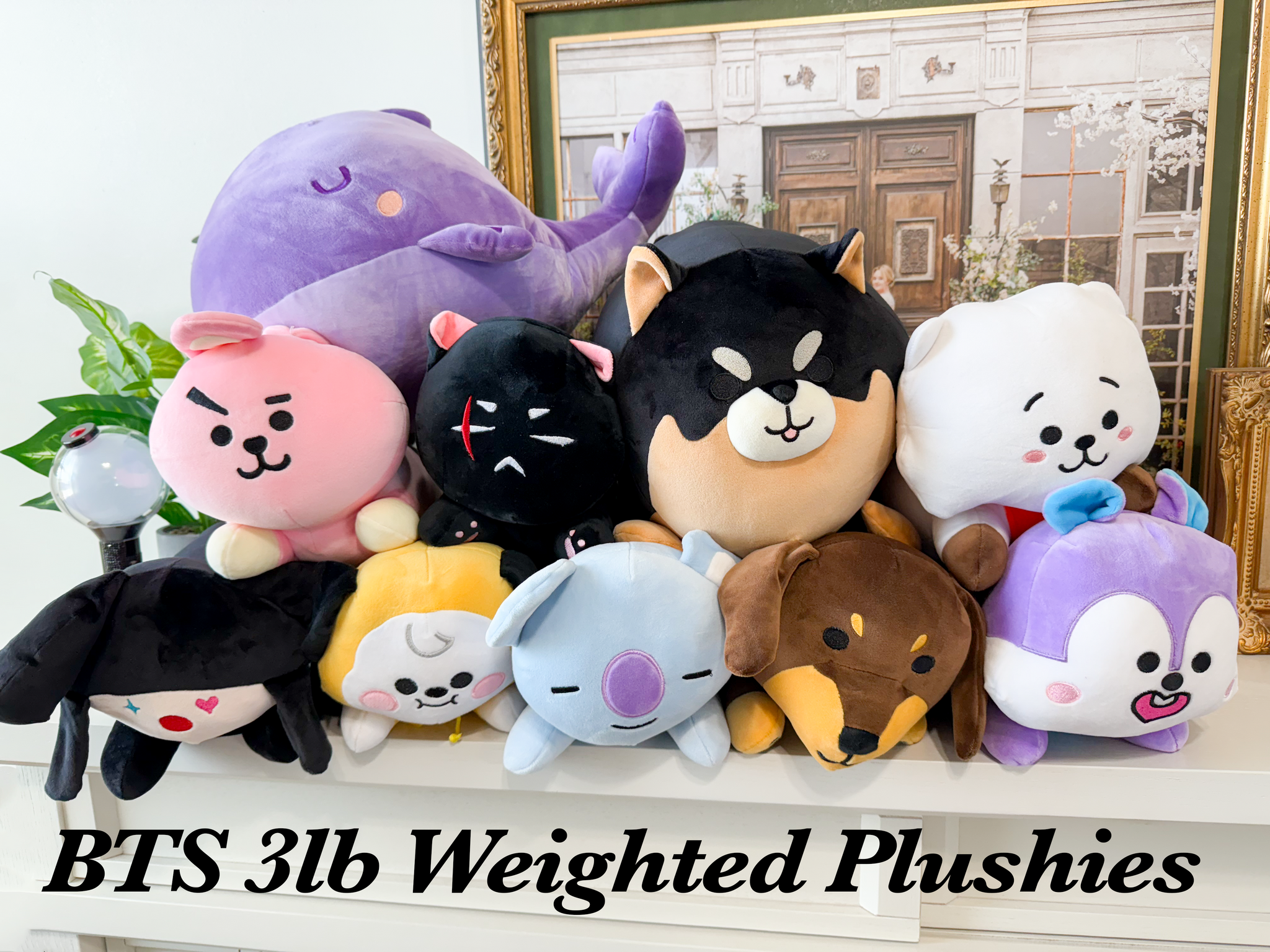 BTS BT21 Weighted Plushie – Beyond The Shirt
