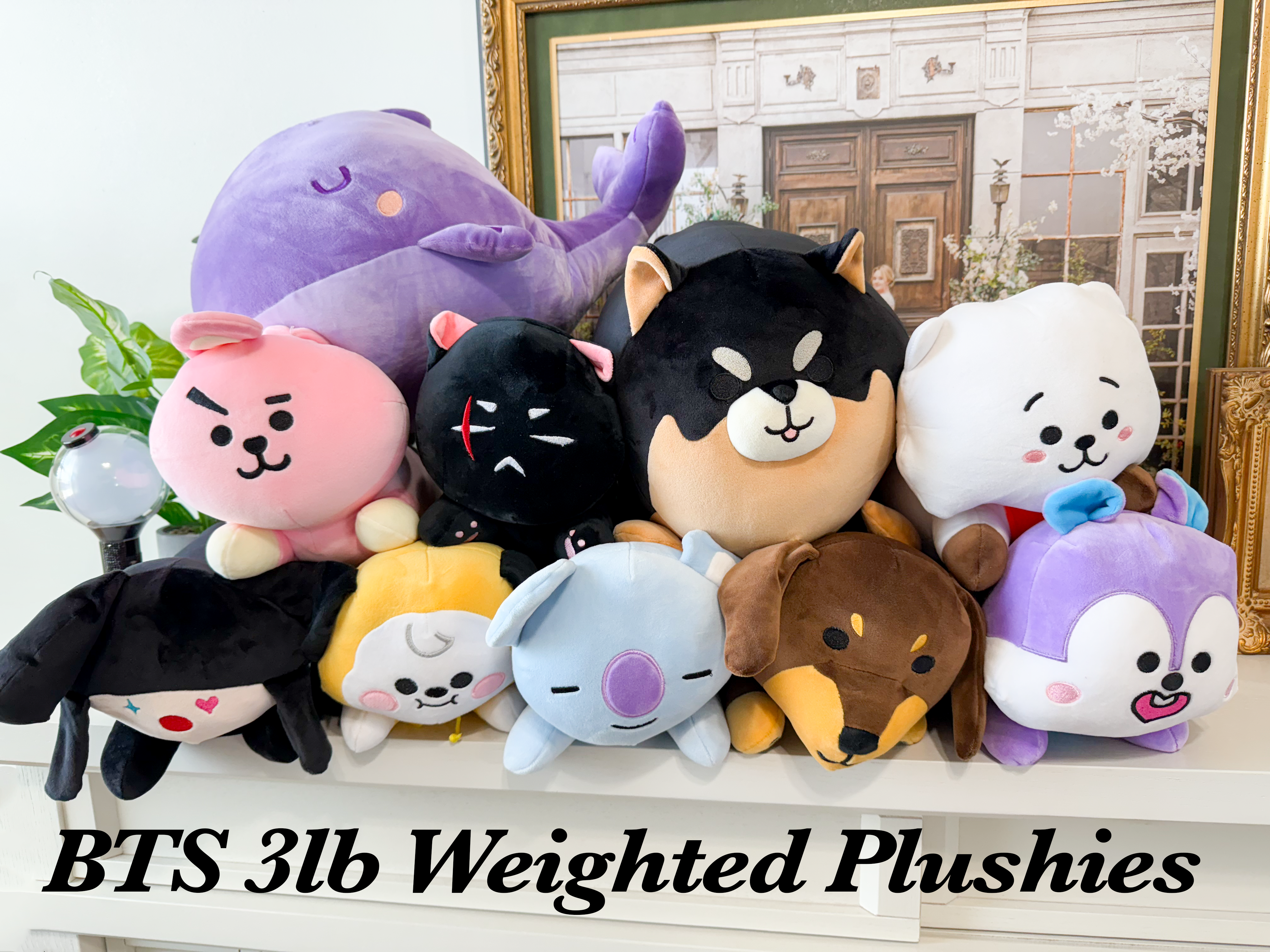 BTS & BT21 Weighted Plushie