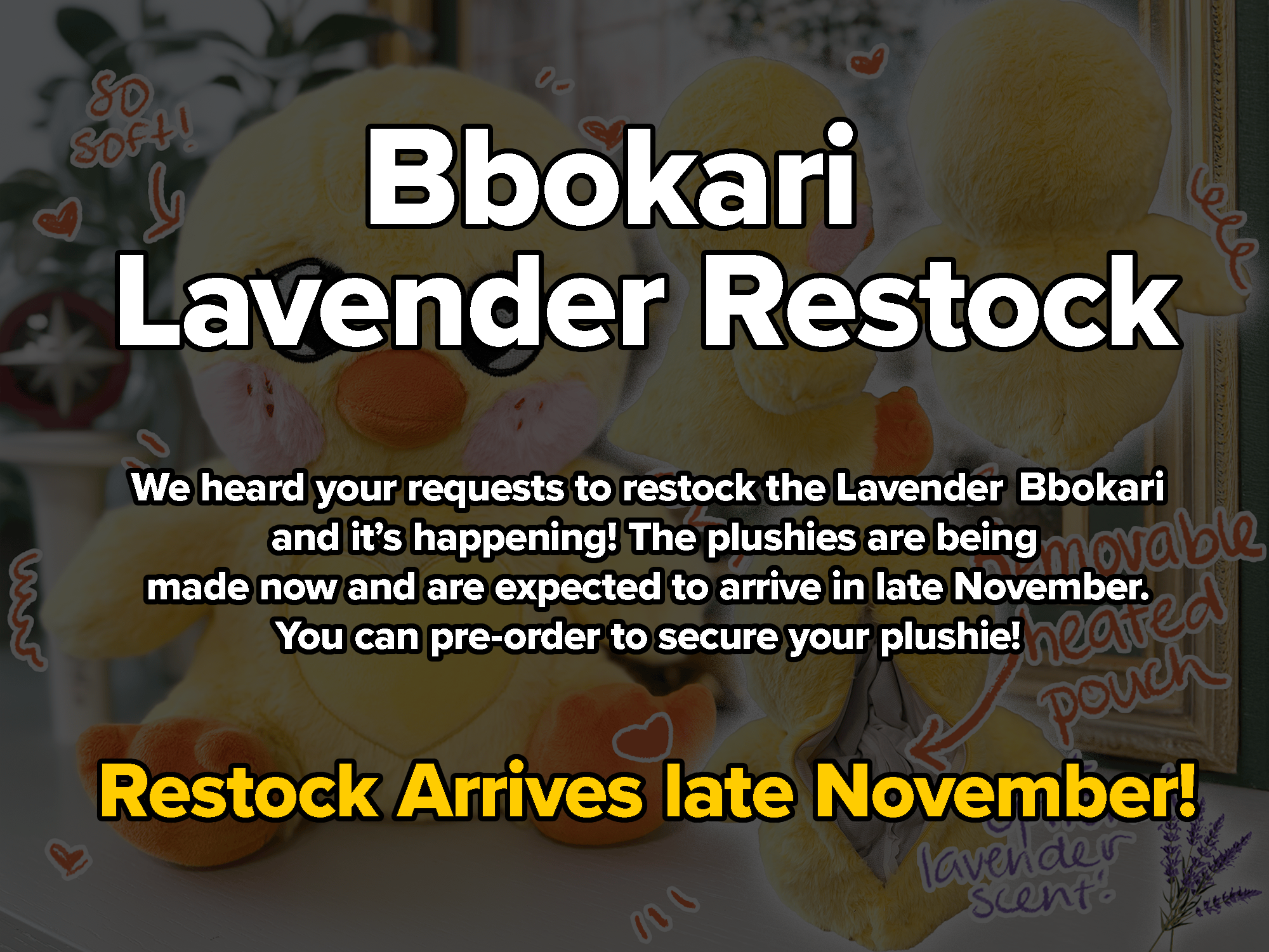 SKZOO Heated Plushies