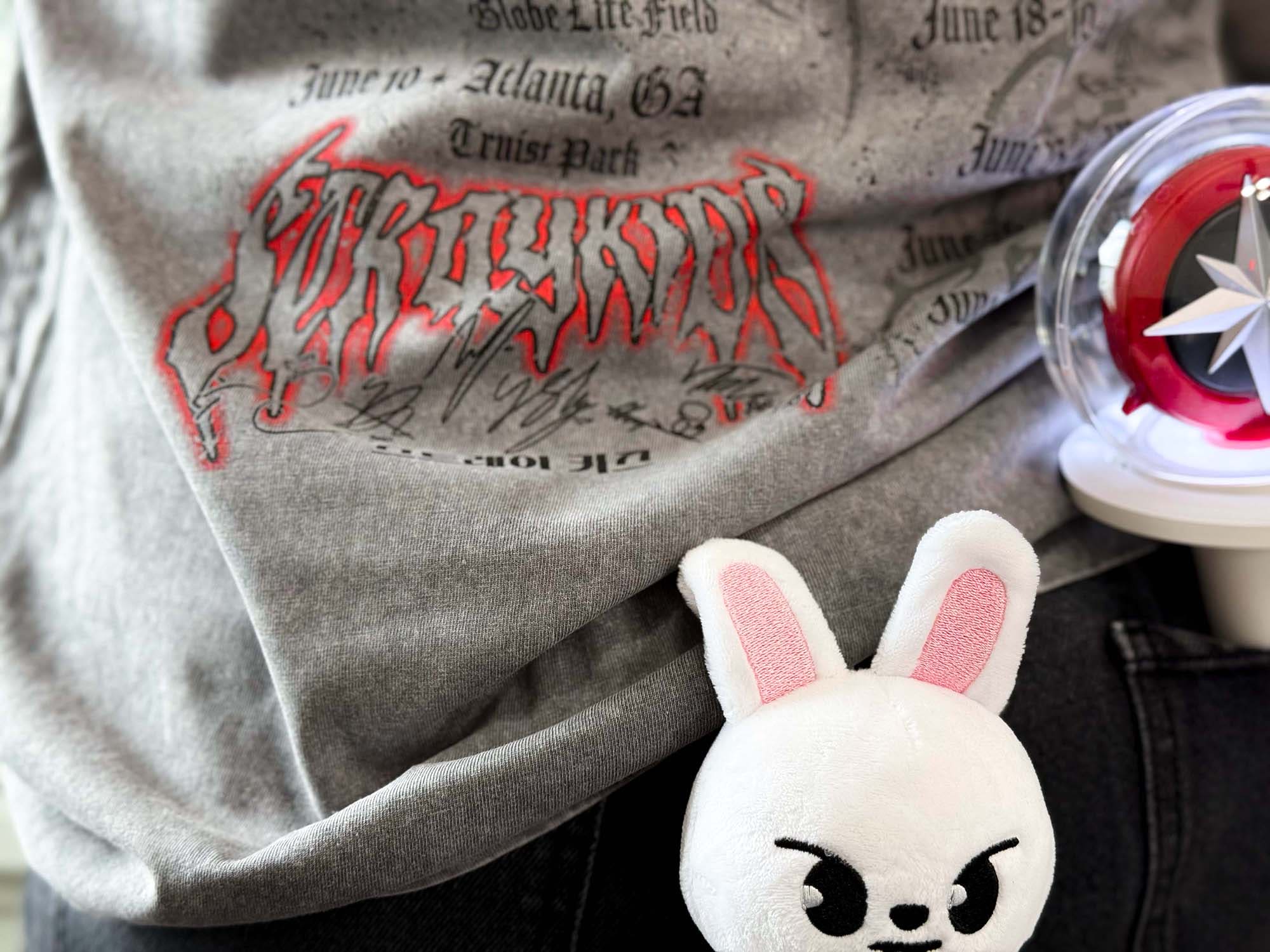 DominATE Tour Shirts and Hoodies