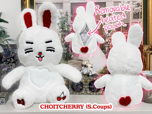 Miniteen Heated Plushies: Kimja In-Stock - Others Pre-Order ETA Feb 2026