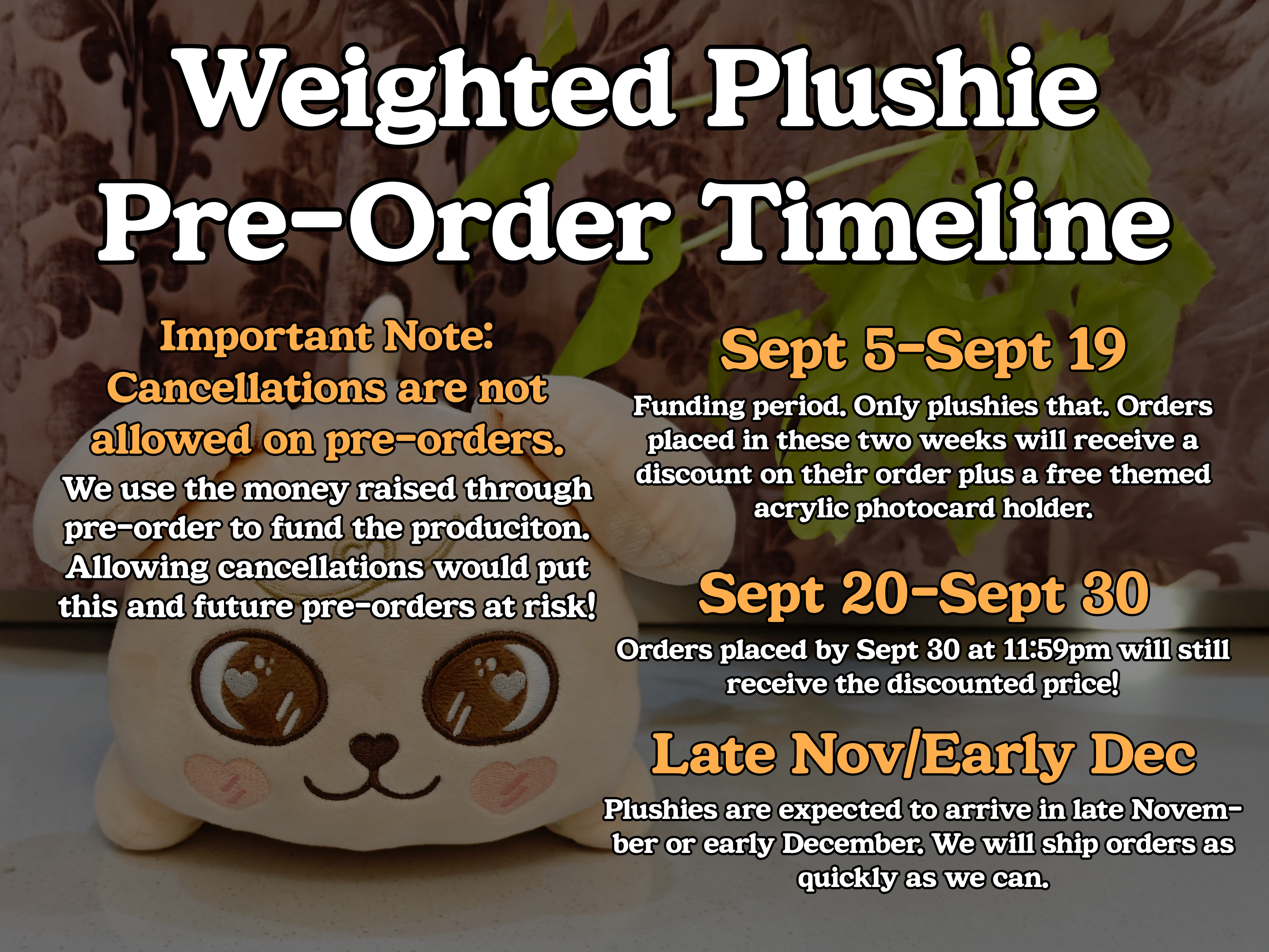 SKZOO Weighted Plushie 2.0 - Pre Order