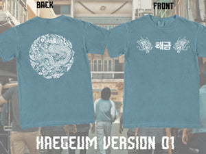 Haegeum T-Shirts