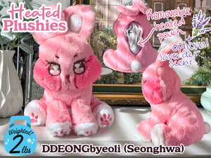 Aniteez Heated Plushies Pre-Order (ETA Late February 2026)