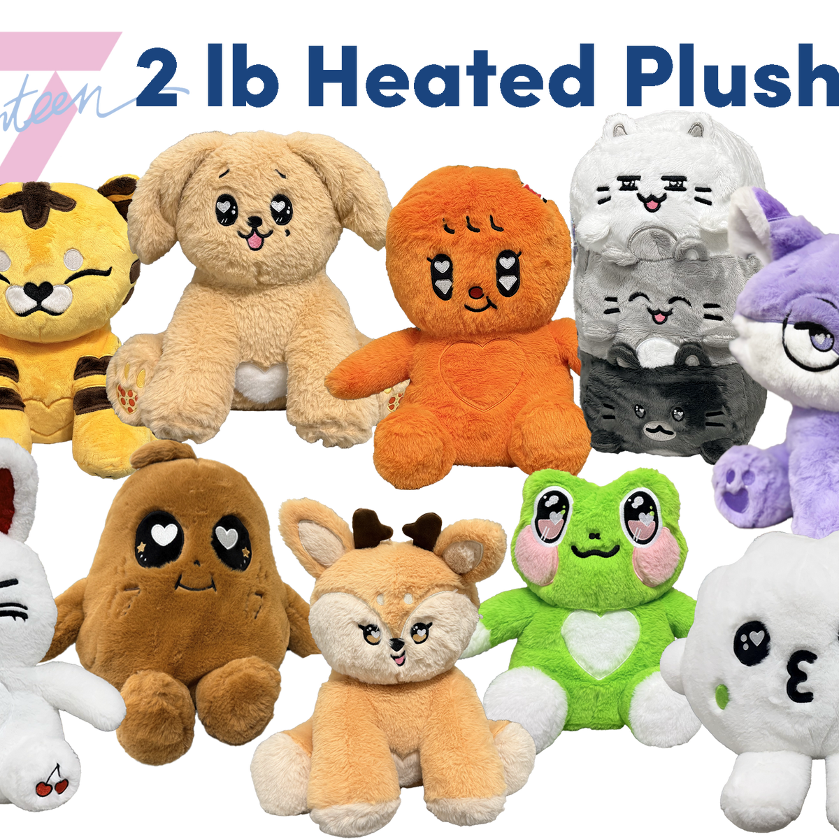 Seventeen_all.png?crop=center&