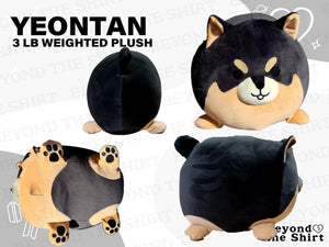 BTS & BT21 Weighted Plushie