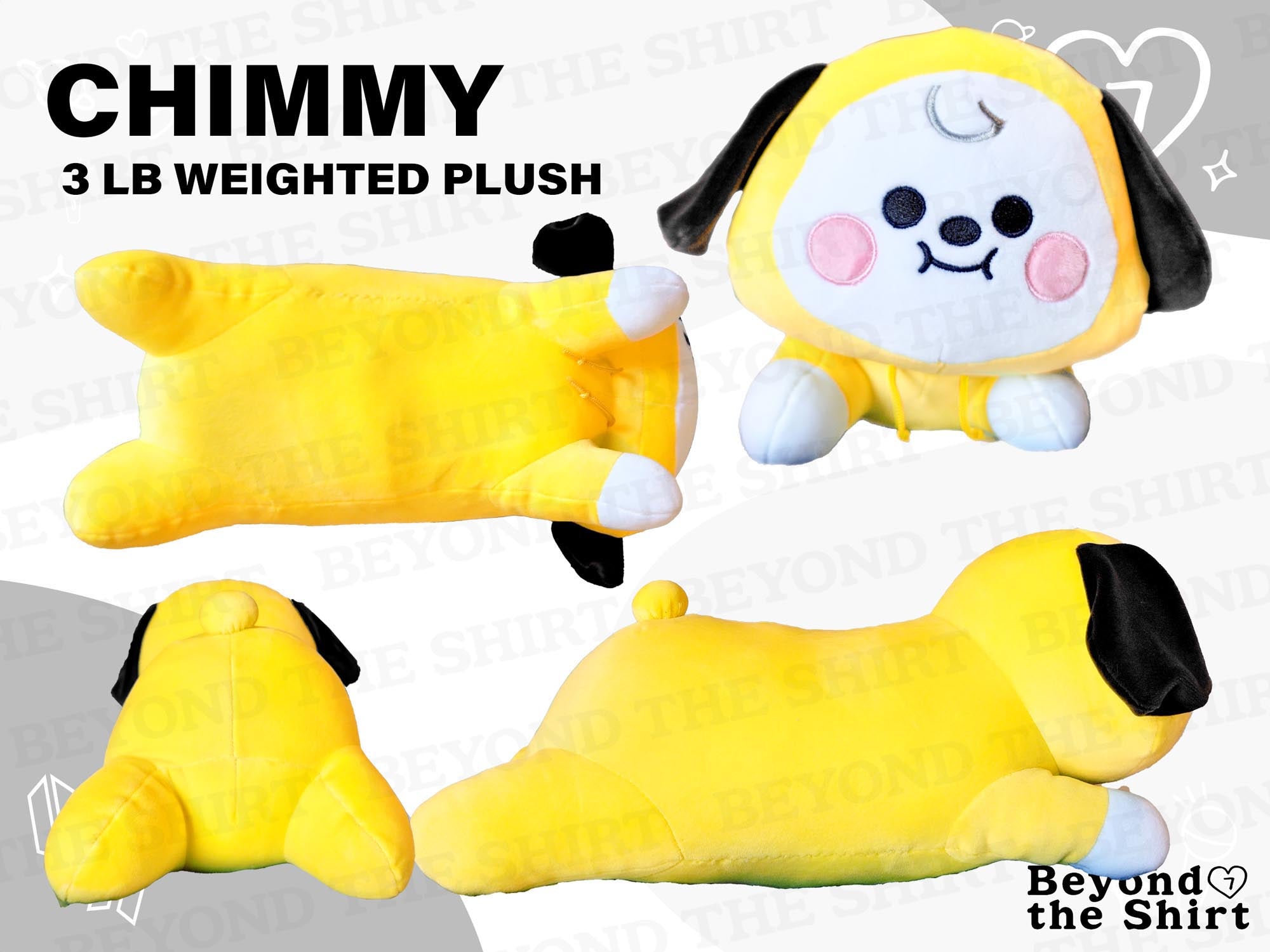 BT21 Weighted Plushie