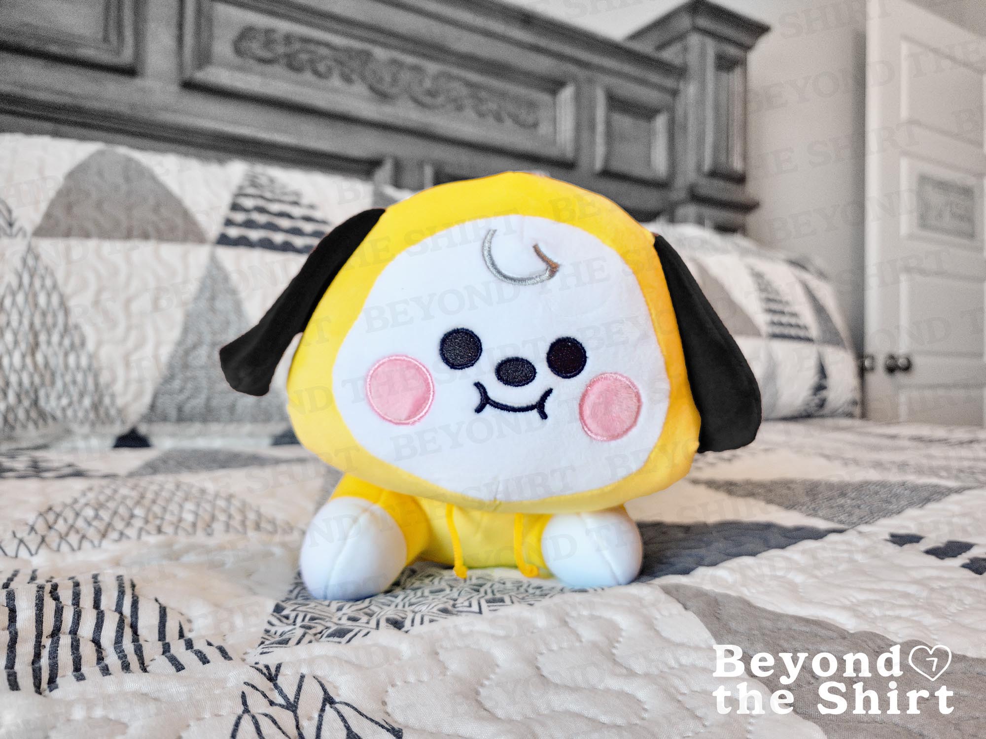 BT21 Weighted Plushie