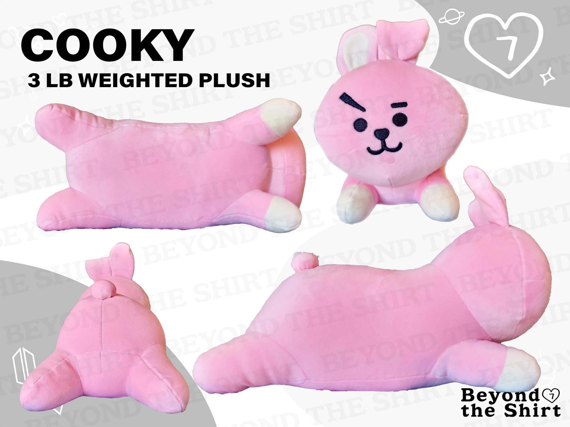 BT21 Weighted Plushie PRE-ORDER (read description for details)