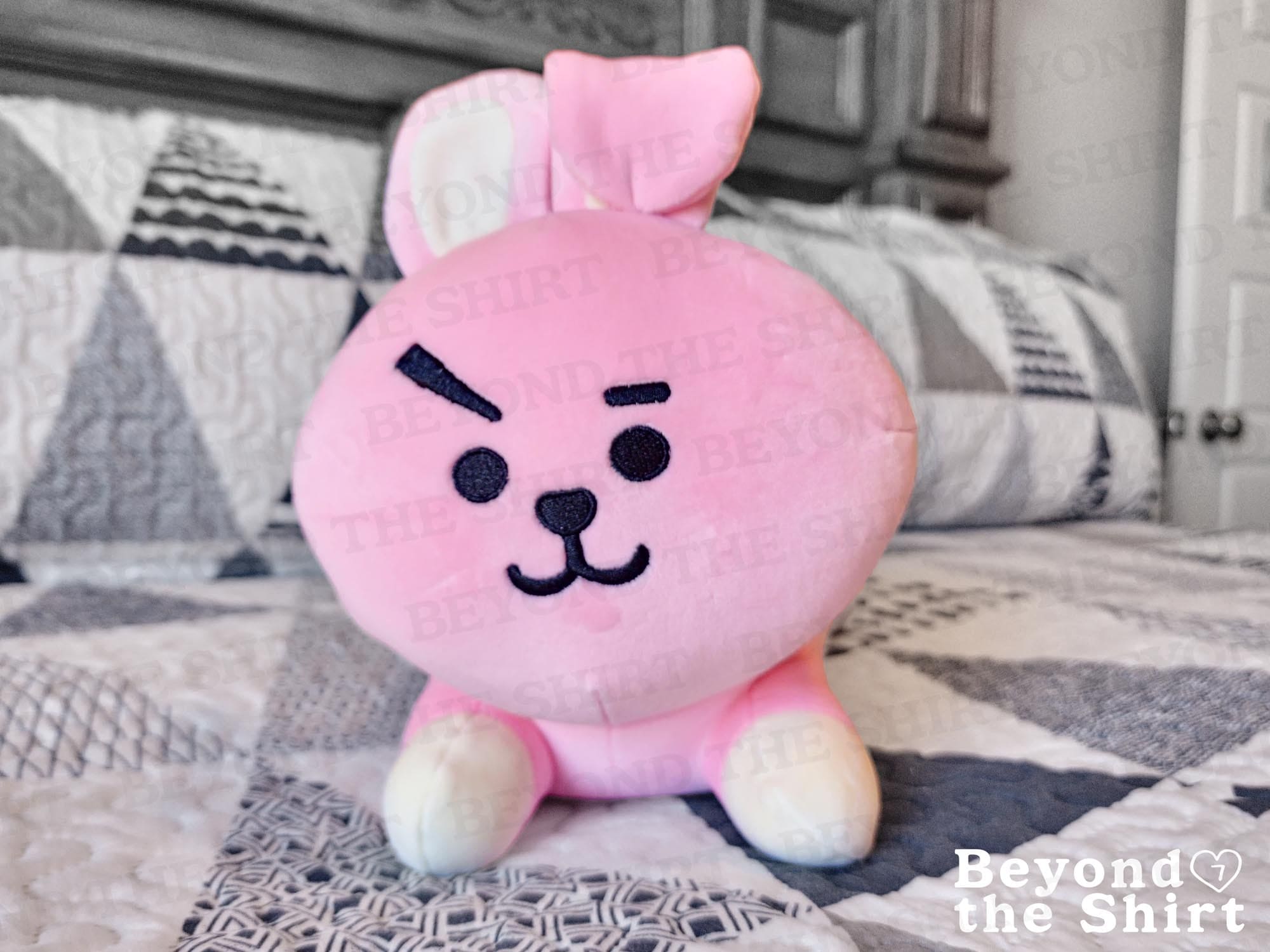 BT21 Weighted Plushie