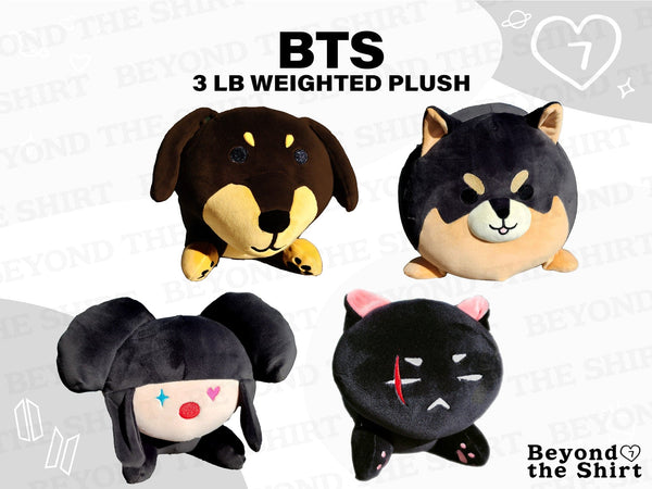 BTS Member Weighted Plushie Beyond The Shirt